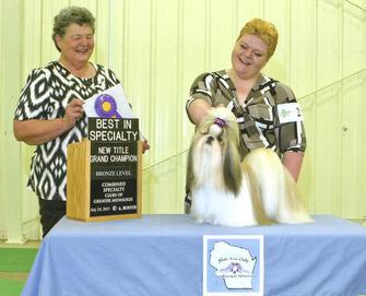 shih tzu club of america basenji breeder referral breeds picture shih tzu club of america basenji breeder referral breeds picture